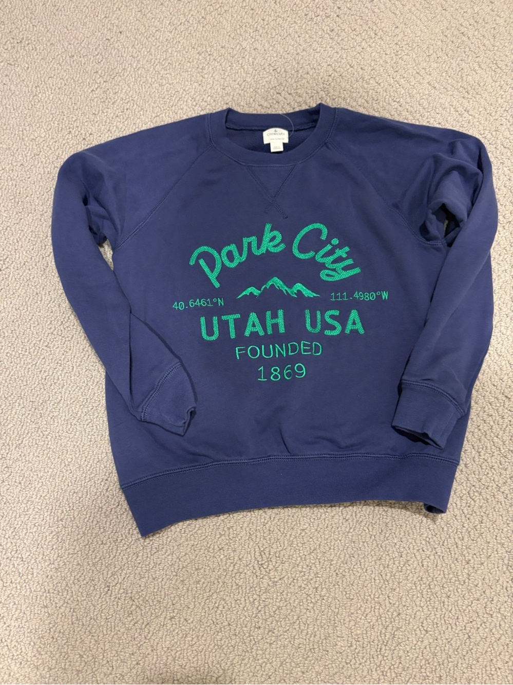 Crewcuts Navy Crewneck Sweatshirt with Green Park City Graphic